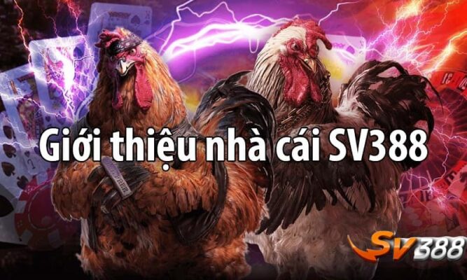 Đăng nhập Sv388