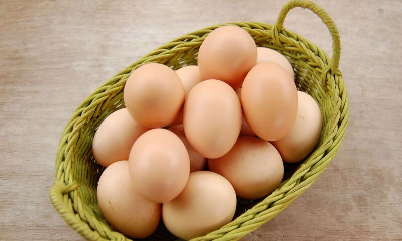 Cách bảo quản trứng gà để ấp để gia tăng tỷ lệ nở trứng