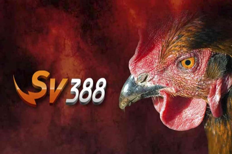 Các sảnh game của sv388 Các sảnh game của sv388 - Đá gà