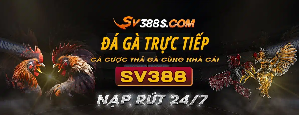 banner sv388