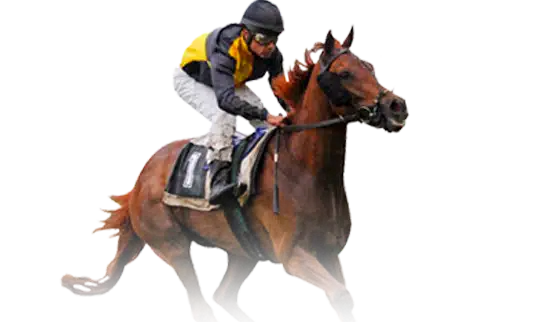 horsebook sv388