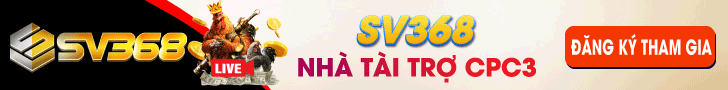banner ads sv368